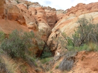 Cohab Canyon